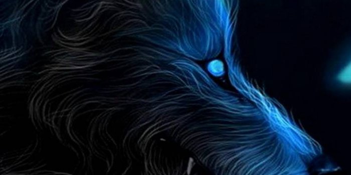 720x1280 dark wolf Wallpaper by ThiagoJappz - a4 - Free on ZEDGE™