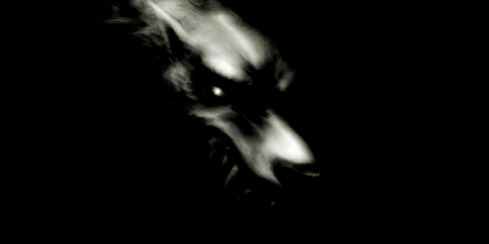 1596x997 Dark Wolf Hd Wallpaper | Pack Wallpapers