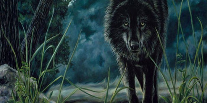 960x854 Dark Wolf Wallpaper by __Luna__ - 20 - Free on ZEDGE™