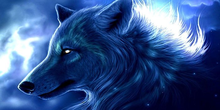 1280x960 Dark Wolf Wallpapers