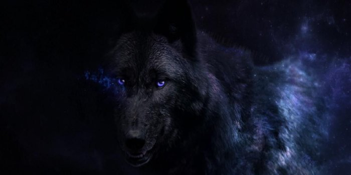 1024x768 Unique Wolf Howling At Moon Dark Free Wallpaper Hd 2019 | Pomelo Tapet