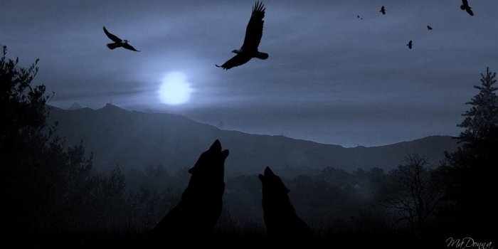 1920x1080 Dark Forest Wolf (id: 92746) – BUZZERG | fitness | Wolf wallpaper