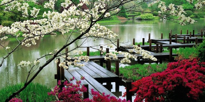 1680x1050 Japanese Nature Wallpapers