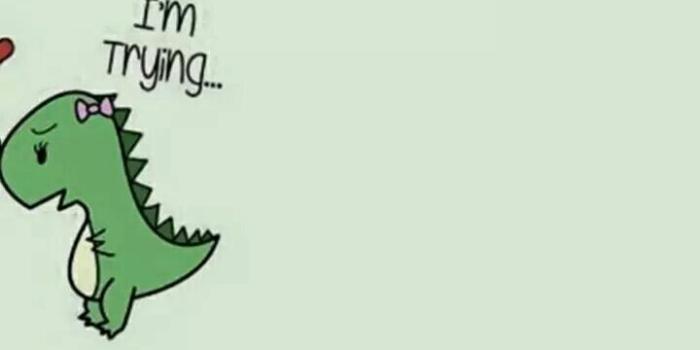 720x1280 Bff Wallpapers Tumblr