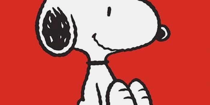 700x1245 10 Wallpaper Cartoon Best Friends - Download Wallpaper HD For PC