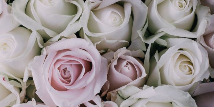 736x1308 25 Gorgeous iPhone 7 & 7 Plus Wallpapers | Preppy Wallpapers