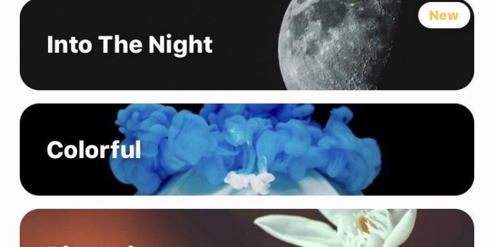 750x1334 10 Best Wallpaper Apps For iPhone To Customize Your Device In 2019