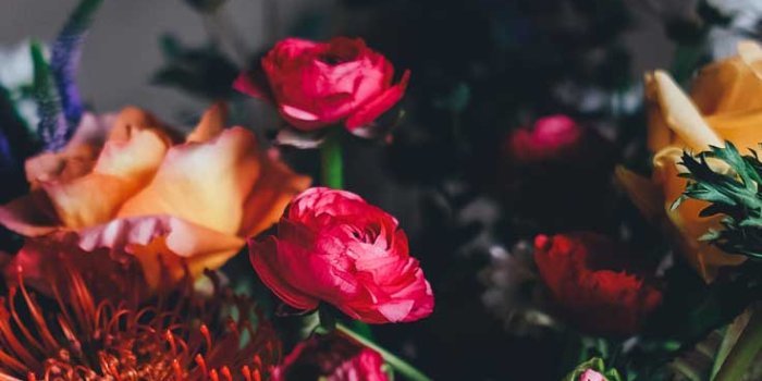 736x1308 27 Floral iPhone 7 Plus Wallpapers for a Sunny Spring | Preppy