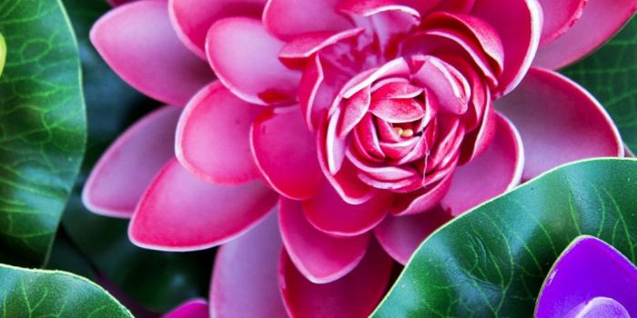 1125x2436 50+ Best iPhone X Wallpapers & Backgrounds