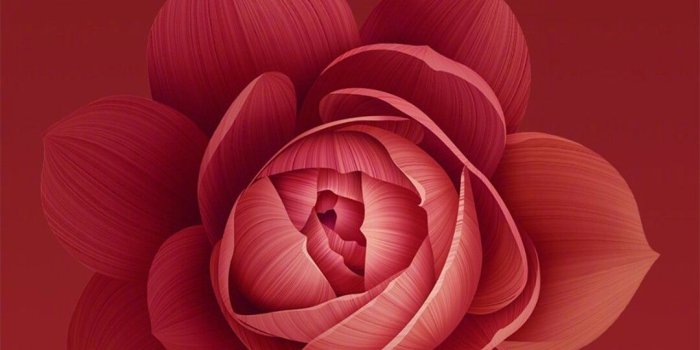 1080x2160 Sükut-u Lisan Selameti İnsan | Wallpapers in 2019 | Iphone wallpaper