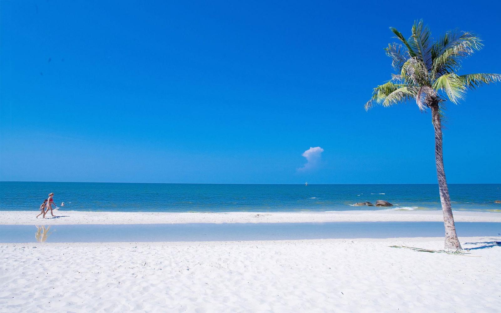 2560x1600 Summer Desktop Wallpaper Background HD