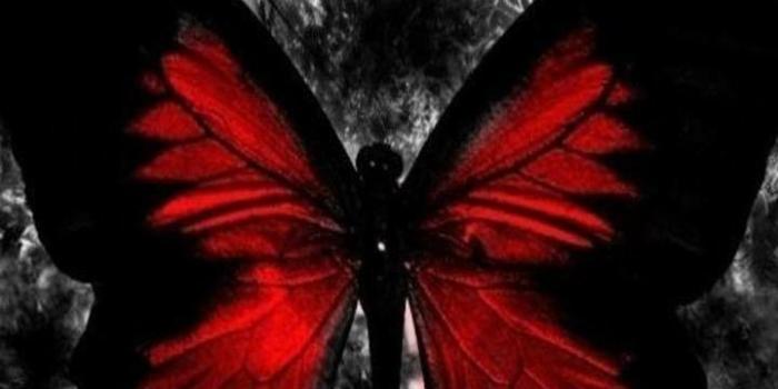 720x1280 Red butterfly | butterflies in 2019 | Gothic wallpaper, Red