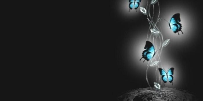 1440x900 Gothic Butterfly Wallpapers - Top Free Gothic Butterfly Backgrounds