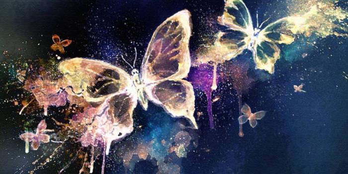 1600x1200 Magic Butterflies Wallpaper and Background Image | 1600x1200 | ID