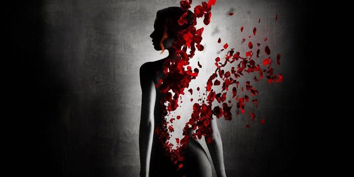 1920x1080 67+ Gothic Roses Wallpapers on WallpaperPlay