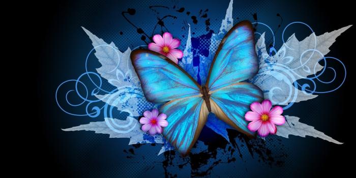 1920x1200 Rainbow Butterfly Wallpapers - Top Free Rainbow Butterfly