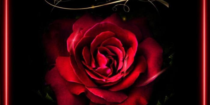 1080x2220 Jennifer Alaina on flowers in 2019 | Gothic wallpaper, Rose