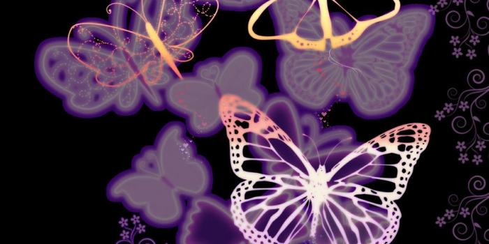 1024x768 67+] Fantasy Butterfly Wallpaper on WallpaperSafari