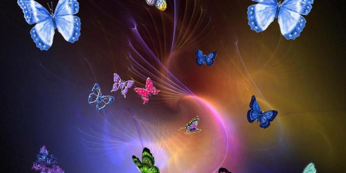 1280x1024 Fantasy butterfly backgrounds | Free Download HD Colorful