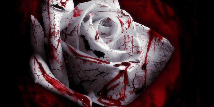 1600x1200 black blood wallpaper Gallery (53+ images)