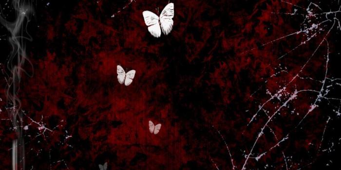 1024x768 Gothic Butterfly Wallpaper