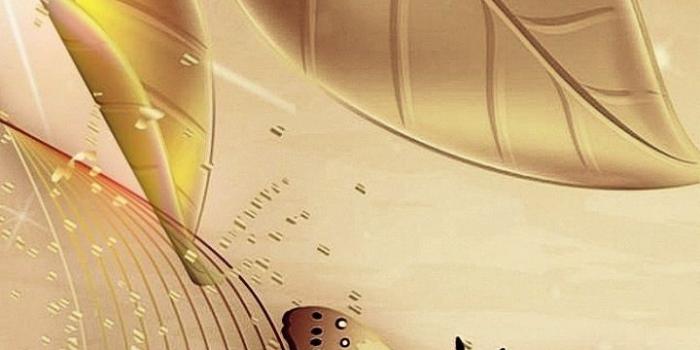 720x1280 Wallpaper...By Artist Unknown... | wall papers in 2019 | Colorful