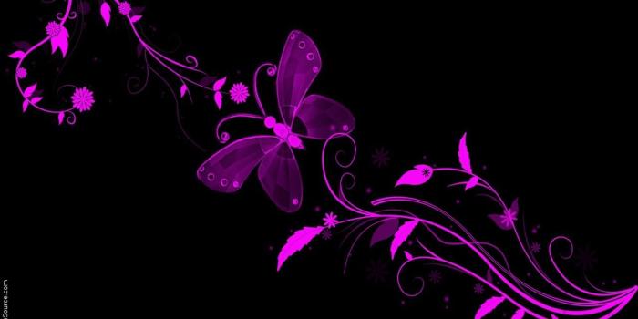 1280x768 36+] Neon Butterfly Desktop Wallpaper on WallpaperSafari