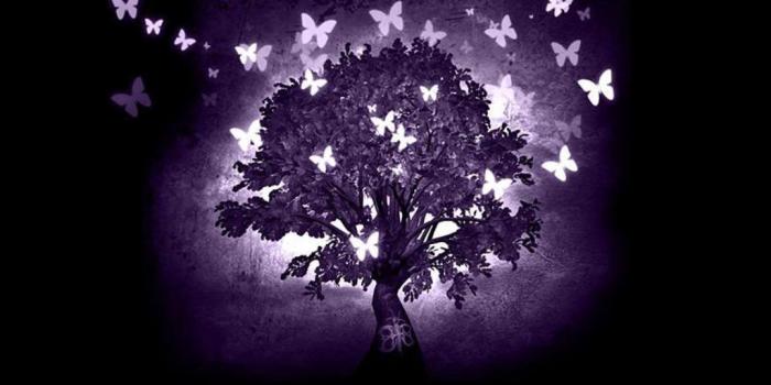 1024x768 Gothic Butterfly Wallpapers - Top Free Gothic Butterfly Backgrounds