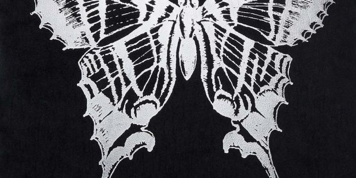 1024x1024 Gothic Butterfly Wallpaper ✓ The Best HD Wallpaper