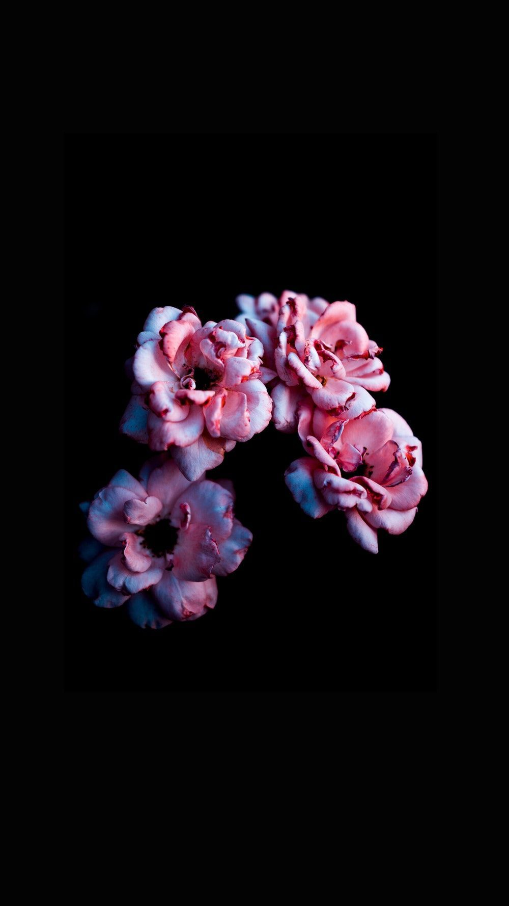 1000x1778 Dark Floral iPhone Wallpapers - Top Free Dark Floral iPhone