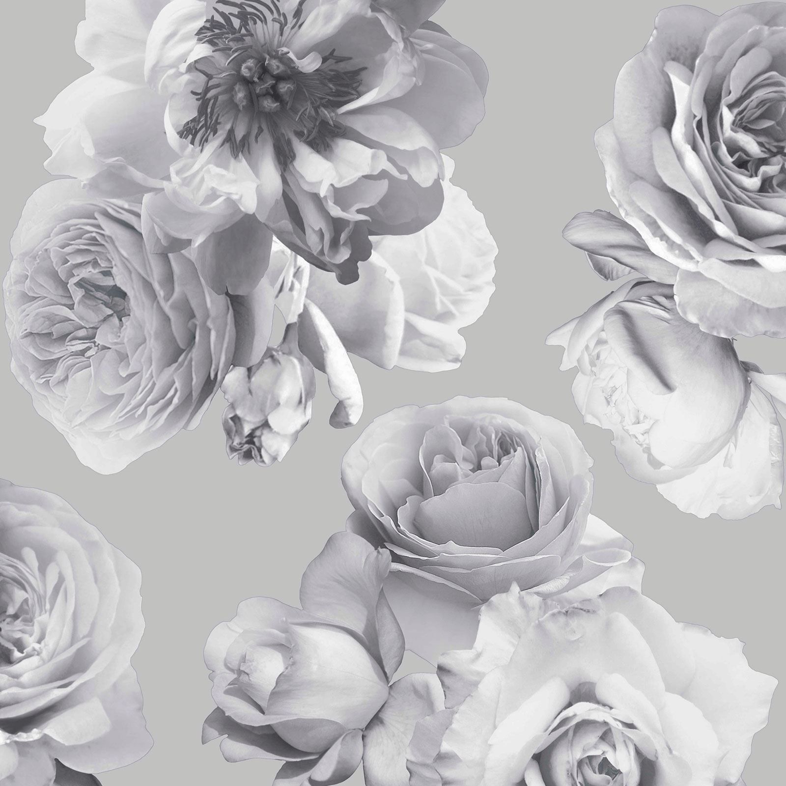 1600x1600 Details about Floral Wallpaper 3