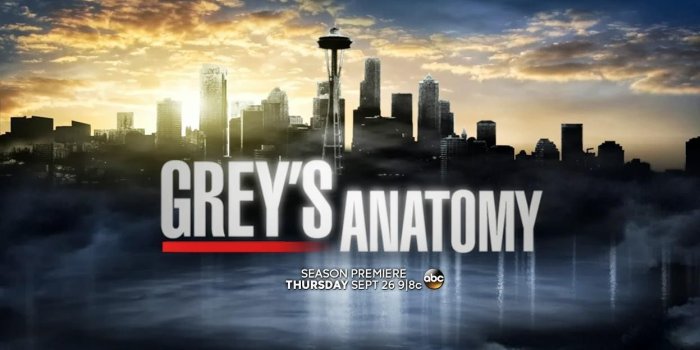 1247x705 Grey's Anatomy Wallpaper Hd - Grey's Anatomy Space Needle (#186739