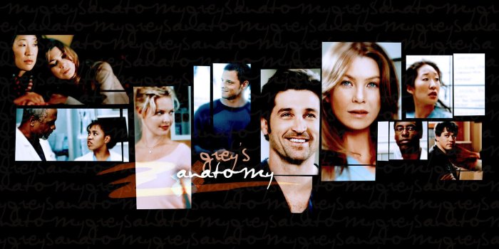 1680x1050 47+] Grey's Anatomy Desktop Wallpaper on WallpaperSafari