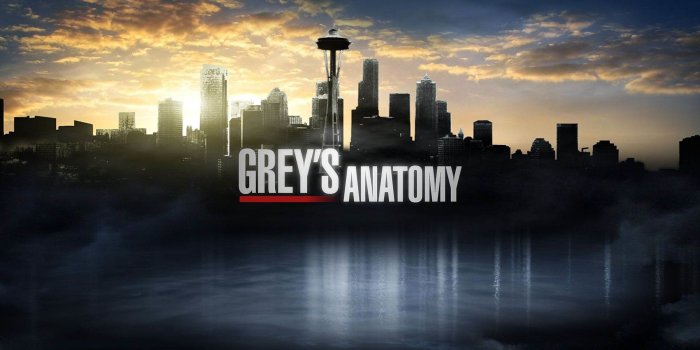 1920x1080 Anatomy Wallpaper HD (63+ images)