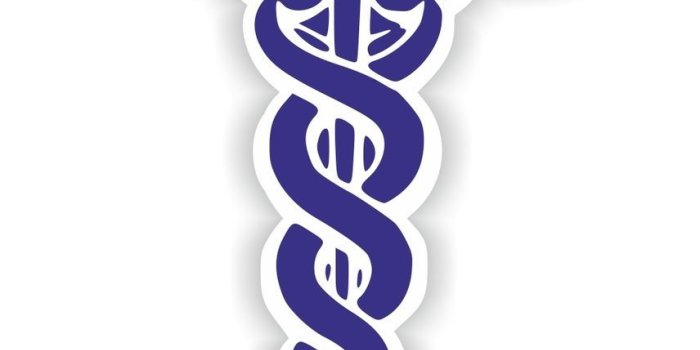 856x1000 Free Medical Doctor Logo, Download Free Clip Art, Free Clip Art on
