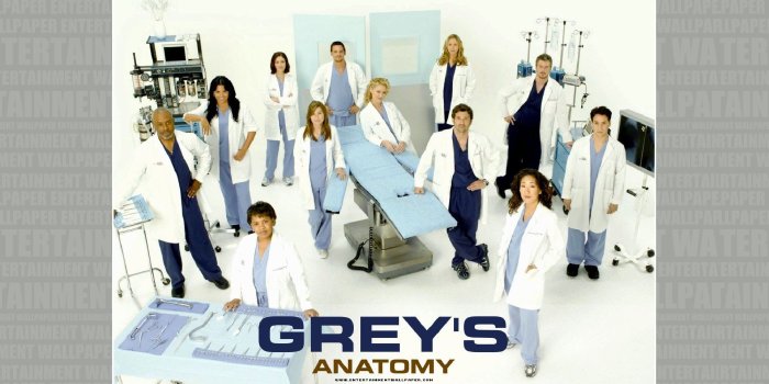 1920x1080 Grey's Anatomy Wallpaper - #20015300 (1920x1080) | Desktop Download