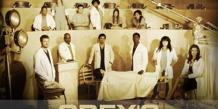1024x819 Unique Grey's Anatomy Wallpaper – #20011758 (1280X1024) | Desktop