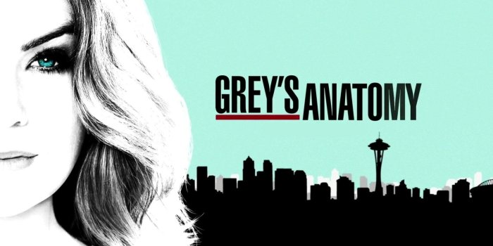 1920x1080 HD wallpaper: Ellen Pompeo, Greys Anatomy, Meredith Grey | Wallpaper