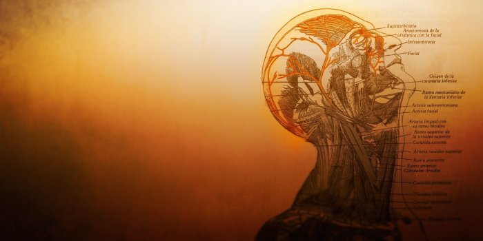 1920x1080 Medical wallpaper ·① Download free cool HD backgrounds for desktop