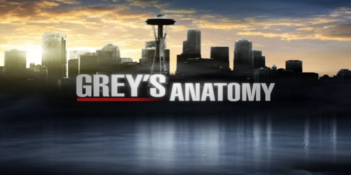1280x720 Greys Anatomy Quotes Wallpaper Grey's Anatomy Desktop Wallpaper