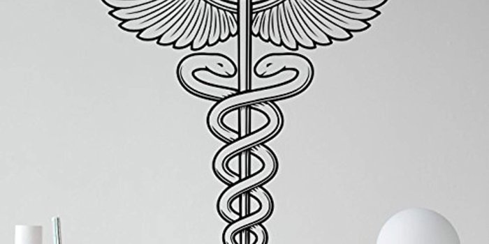 1491x1500 Amazon.com: Caduceus Wall Vinyl Decal Winged Medicine Symbol Medical