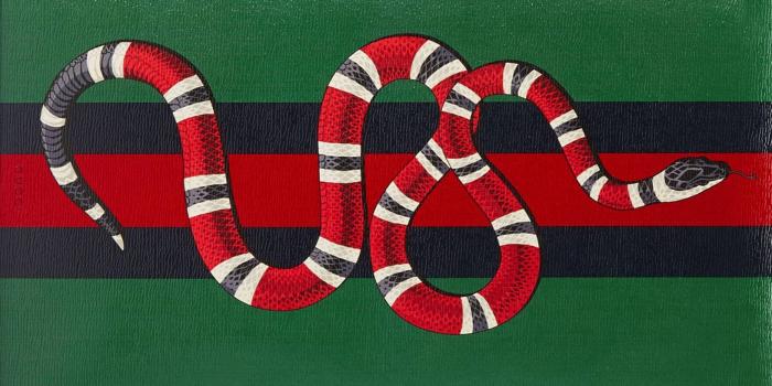 1632x942 Gucci Snake Wallpaper , (51+) Pictures | D E S I G N E L E M ENT in