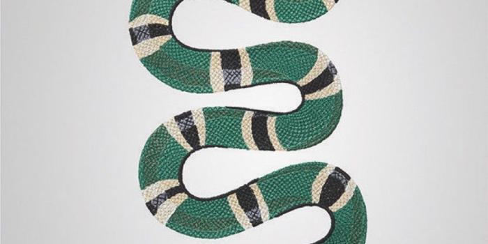 859x1024 Tuğçe Ergin on Y | Gucci tattoo, Gucci pattern, Snake art