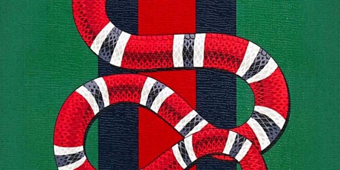 1200x2133 Gucci Dope Wallpapers - Top Free Gucci Dope Backgrounds