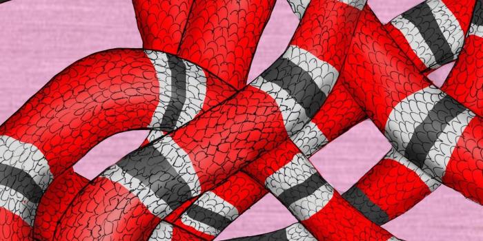 1841x2859 Red Snake Wallpaper, Wallpaper Removable, Removable, Gucci Wallpaper