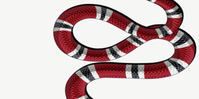 820x1060 Awesome Snake Tattoo Transparent Background Png – Gucci Snake Logo