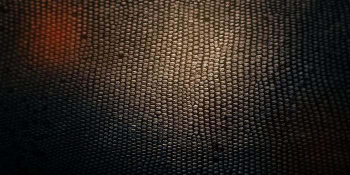 3840x2040 Hd Snake Skin Wallpaper 3840x2160 - Snake Wallpapers and Backgrounds