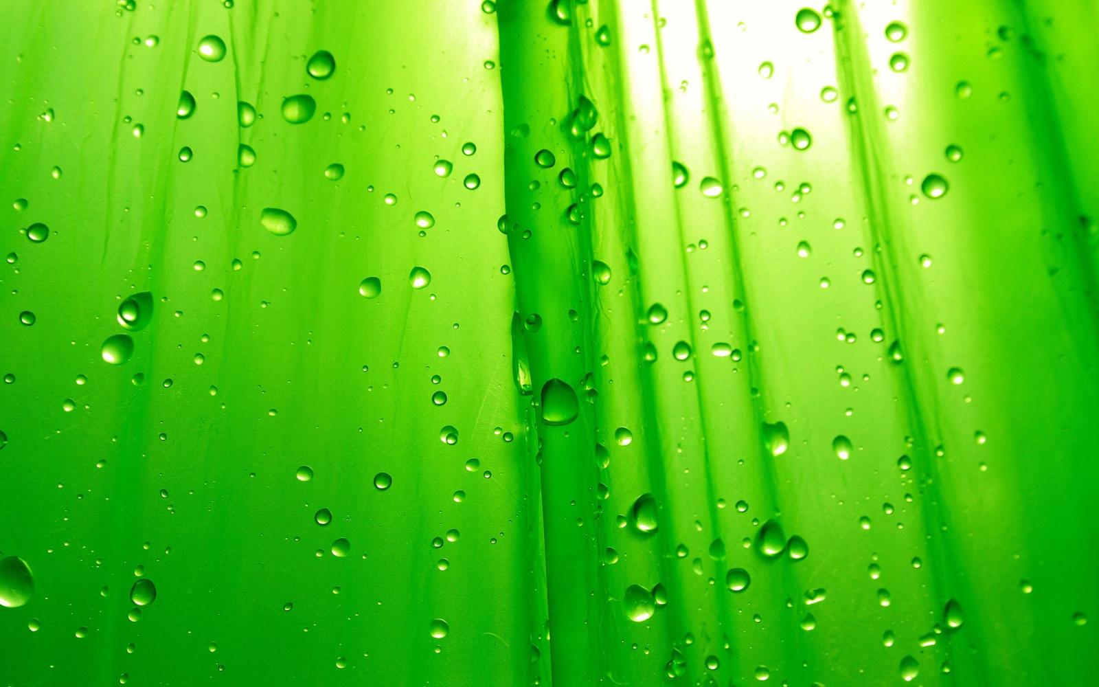 2560x1600 Green Wallpaper - Colors Wallpaper (34511131) - Fanpop