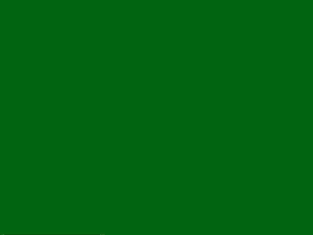 1024x768 50+] Green Color Background Wallpaper on WallpaperSafari
