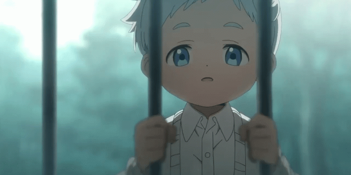 1920x1080 Norman | The Promised Neverland Wiki | FANDOM powered by Wikia